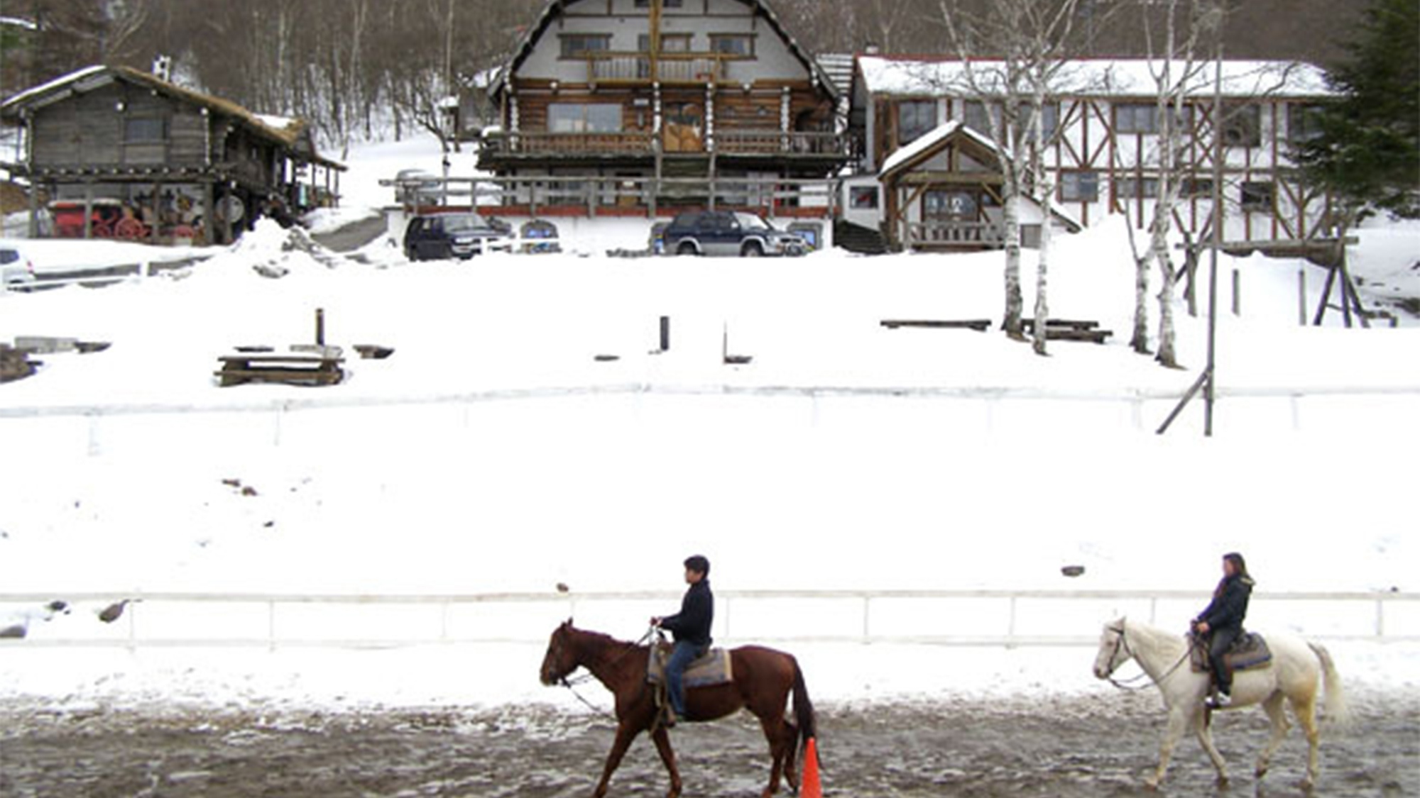 ・馬は寒い冬でも元気！四季を感じながら1年を通して乗馬体験ができます