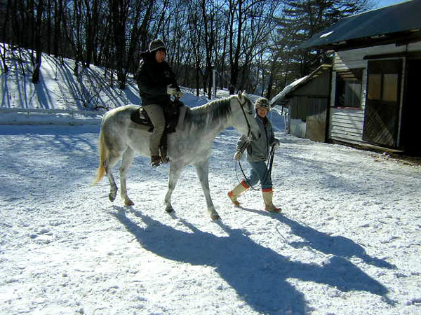 冬景色の中、引き馬体験♪