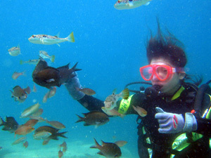 体験ダイビング