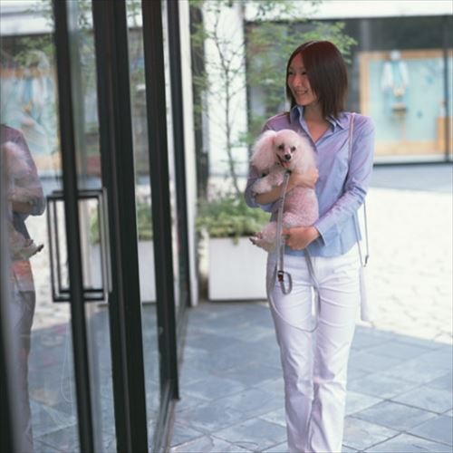 Anabara Onsen Okina Ryokan (Stay with Pet) Main Image Anabara Onsen Okina Ryokan (Stay with Pet), Fukushima