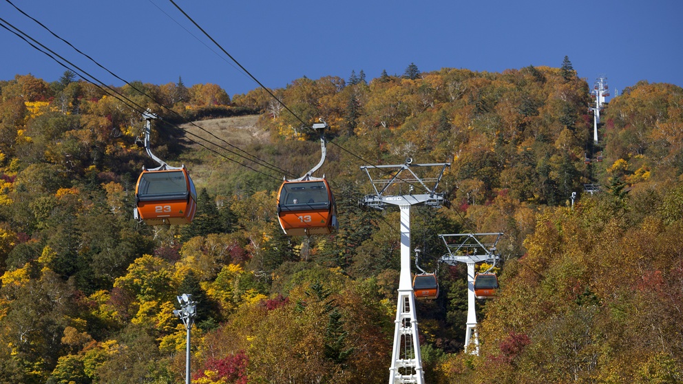 【札幌国際スキー場の紅葉ゴンドラ】期間限定の絶景をご覧いただけます