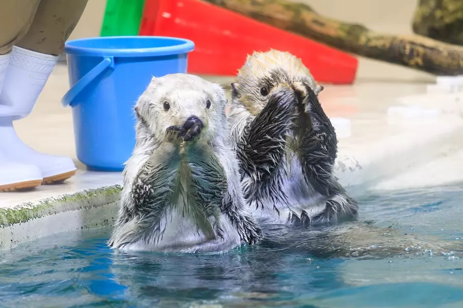 鳥羽水族館