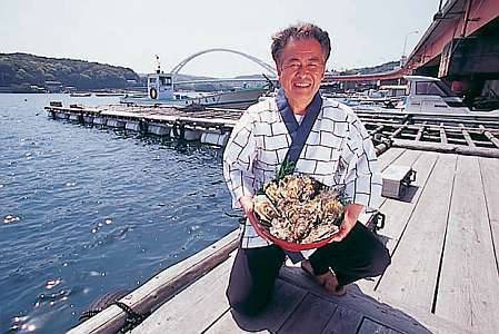 浦村で養殖した自慢のカキを是非食べにきてください。