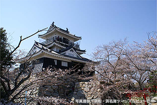 歴史あふれる浜松城