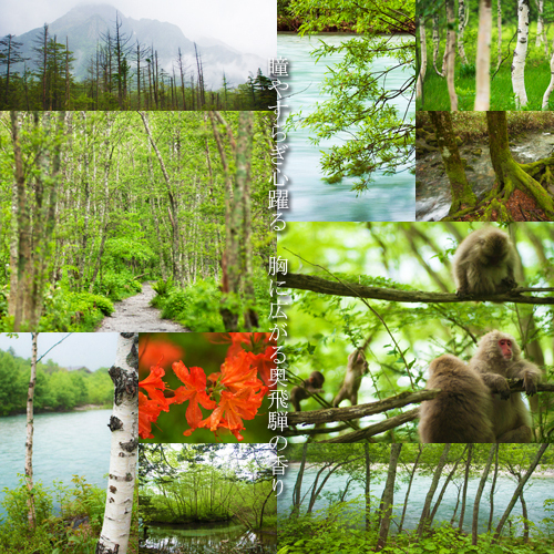 This photo about Okuhida Hirayu Onsen Yamatokan shared on HyHotel.com