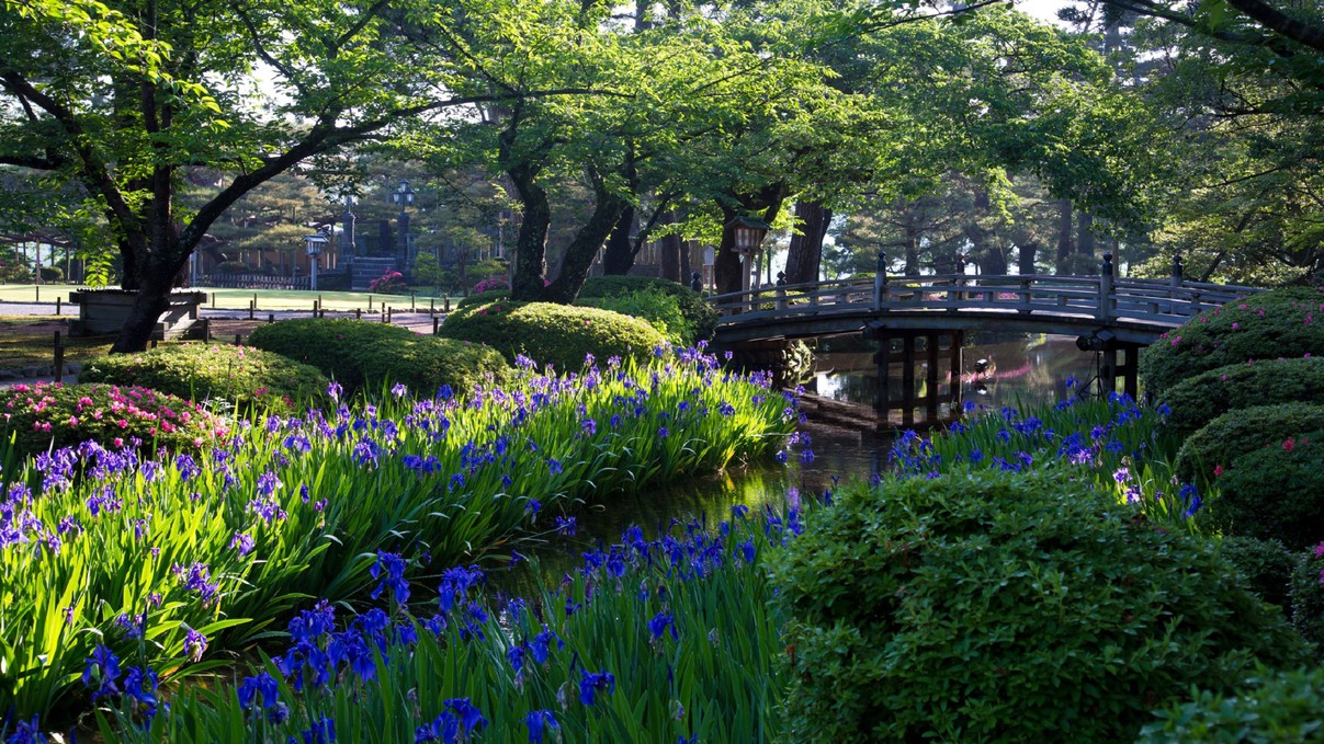 兼六園(かきつばた)(写真提供：金沢市）