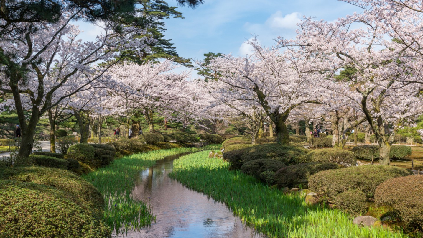 兼六園（春）