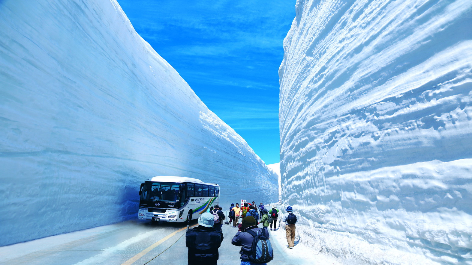 雪の大谷実際に歩いてみましょう。【写真提供:（公社）とやま観光推進機構】