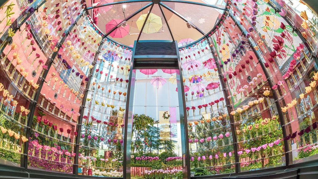 チューリップ四季彩館（アパホテルから徒歩20分、車で4分）【画像提供：富山県】