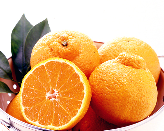 【柑橘発送付/素泊り】愛媛の旬の柑橘（デコタンゴール）をお届けします！宿泊プラン♪