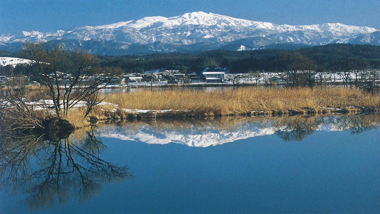 木場潟公園【車で10分】（提供：小松市観光物産ネットワーク）