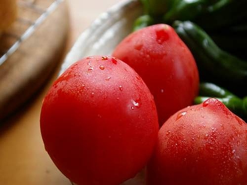 シオンの畑で採れたばかりのトマト