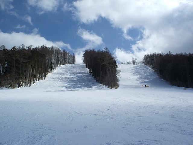 魔法の粉雪戸隠スキー場