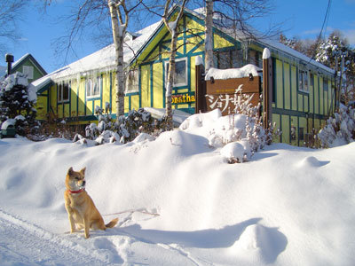 ポッポとジョナサン