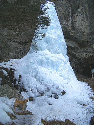 大禅の滝とポッポ
