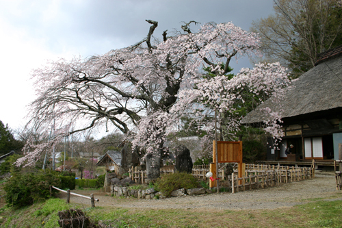 信濃境境観音堂