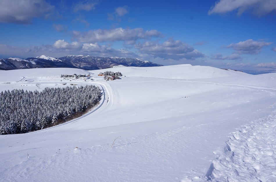冬のビーナスライン