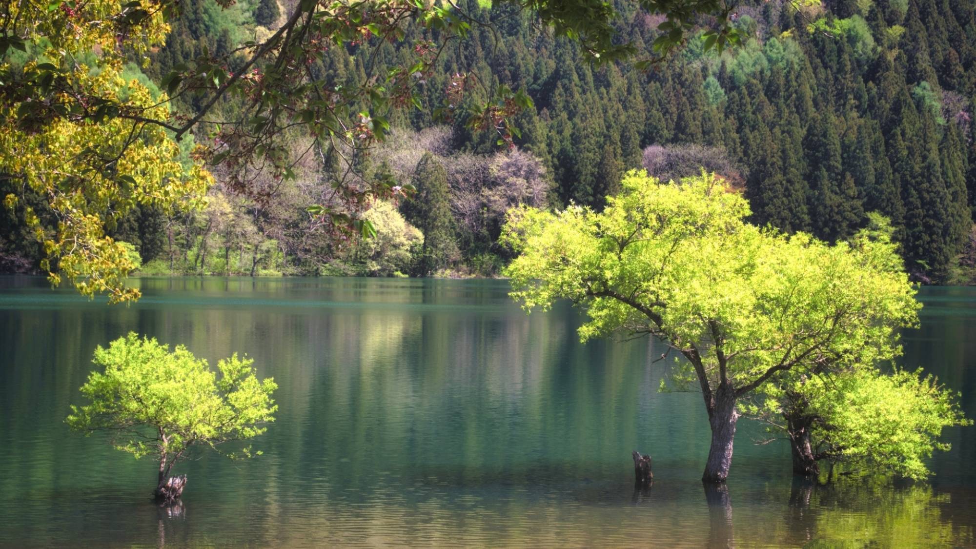 北竜湖。季節ごとに違う景色を見せる神秘的な湖です。