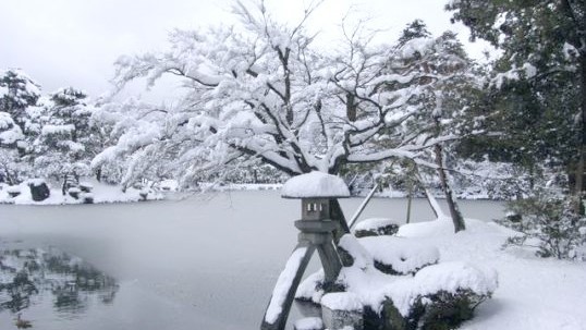 兼六園（冬）