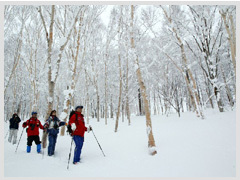 冬：スノートレッキング