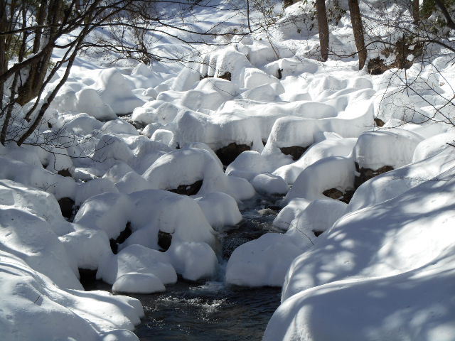 小川の雪