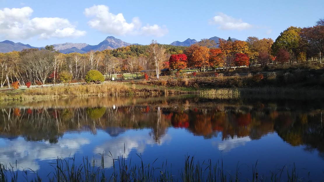 紅葉の八ヶ岳自然文化園まるやち湖