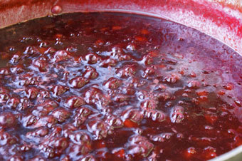 季節ごとに大鍋でジャムを煮て保存杏、ブルーベリー、りんご、桃などすべて信州産