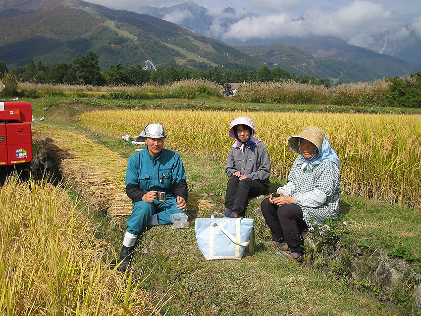 白马山麓栂池高原Schanze小酒店