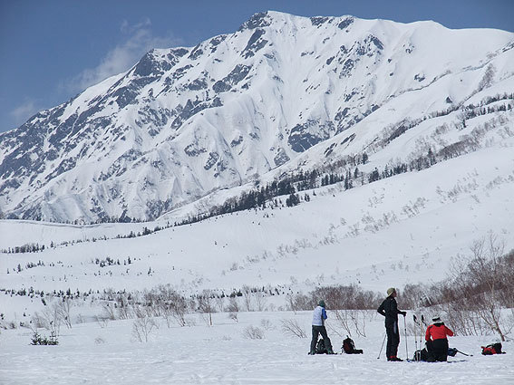 バックカントリープラン2月中旬〜栂池自然園白馬岳と大雪原