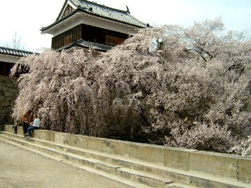 Pension Noichigo Image 4, Nagano, Japan