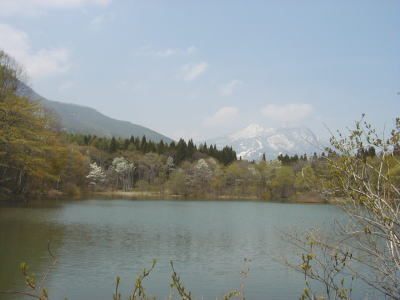 This photo about Pension Almanac shared on HyHotel.com