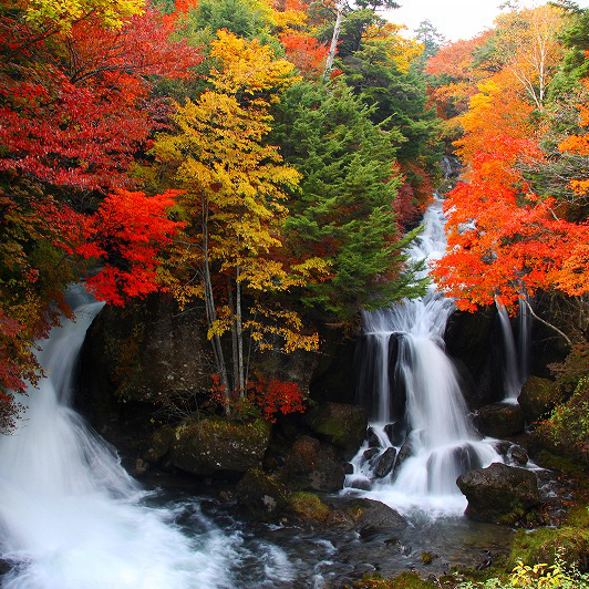 色とりどりの紅葉の景色は感動ものです。竜頭の滝
