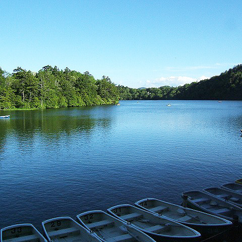 都会より-10度の奥日光へどうぞ！夏の湯の湖