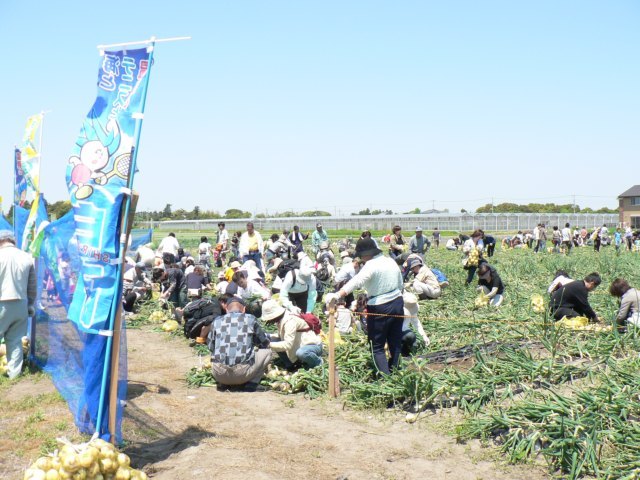 白子玉ねぎ祭り