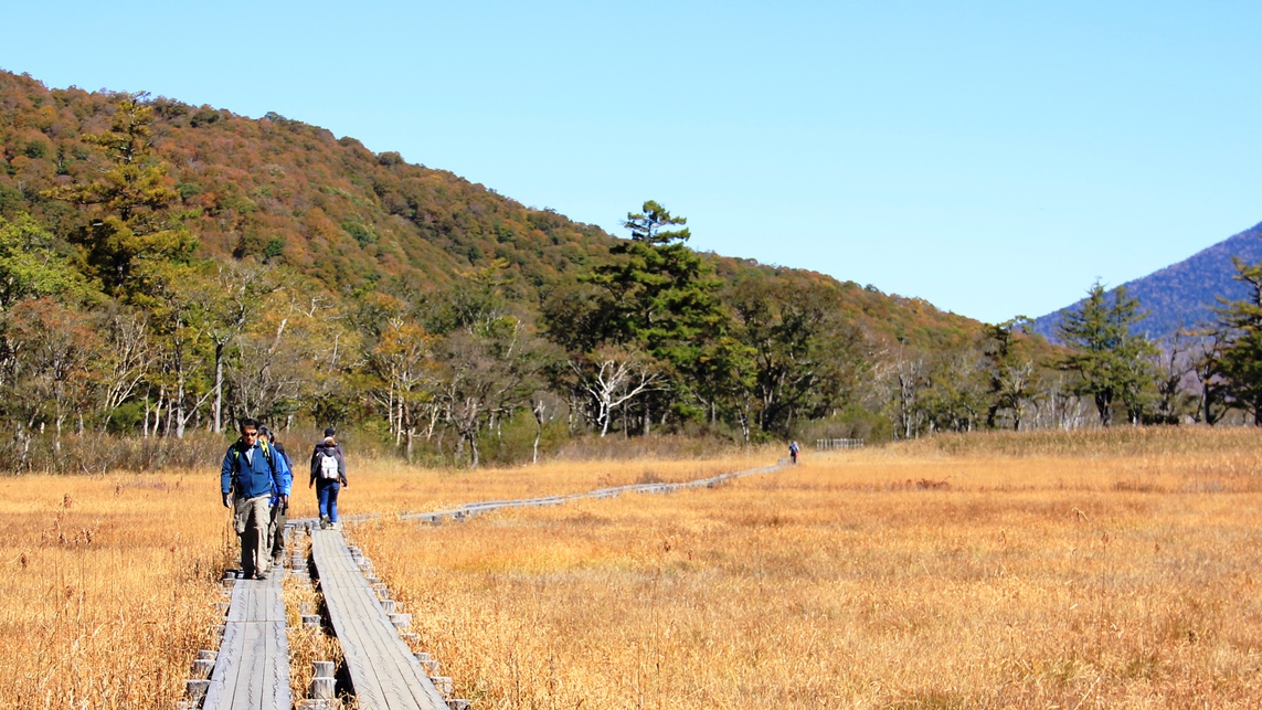 【秋・尾瀬国立公園】四季折々景観を変える日本最大級の山岳湿原。