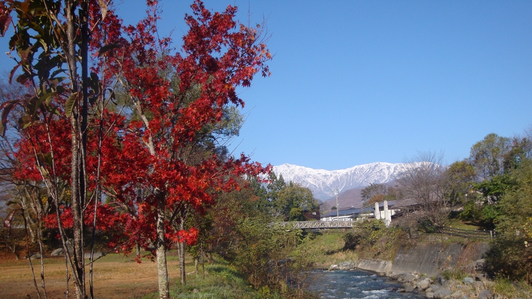 *[白馬の景色・秋]周辺には紅葉狩りを堪能できるスポットが点在