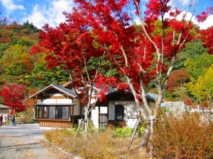 紅葉の見頃は11月頃