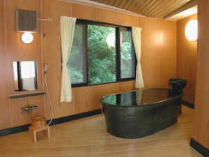 温泉付特別室のカメ風呂温泉