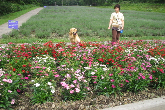 This photo about Pension Rapport shared on HyHotel.com