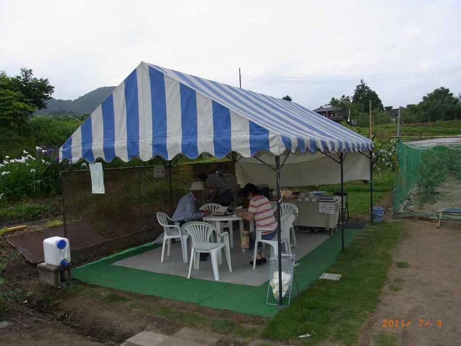 さくらんぼ狩り 芝崎園2