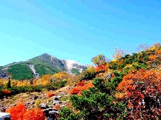 乗鞍紅葉