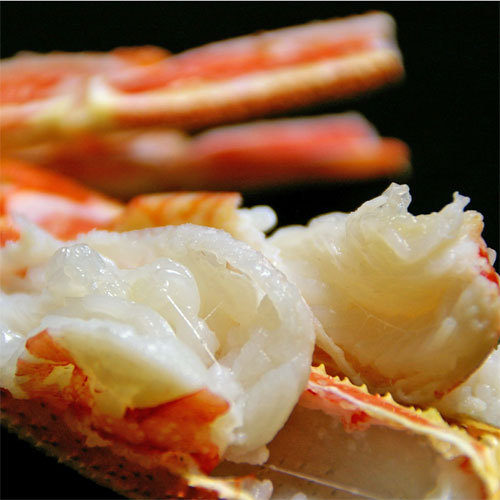 冬の味覚焼き蟹(イメージ)