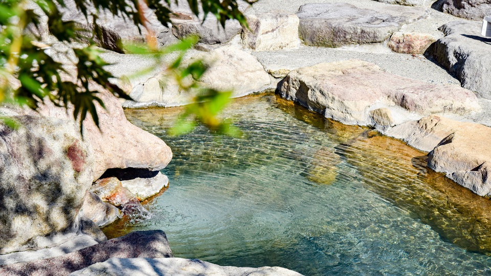 *【温泉】いやしの湯