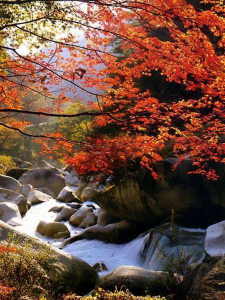 昇仙峡の紅葉