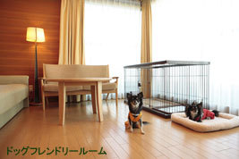 愛犬と一緒に泊まれる