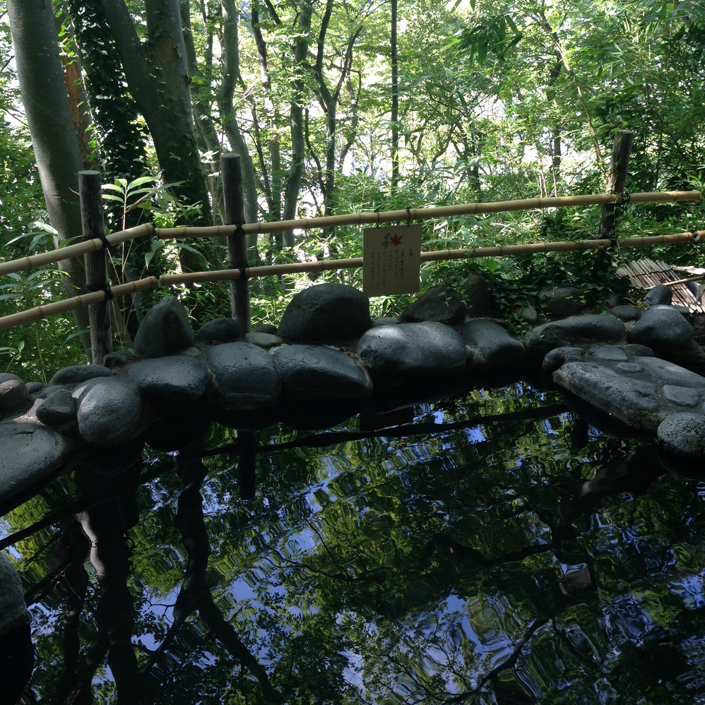 お肌ツルツル「美人の湯」です♪
