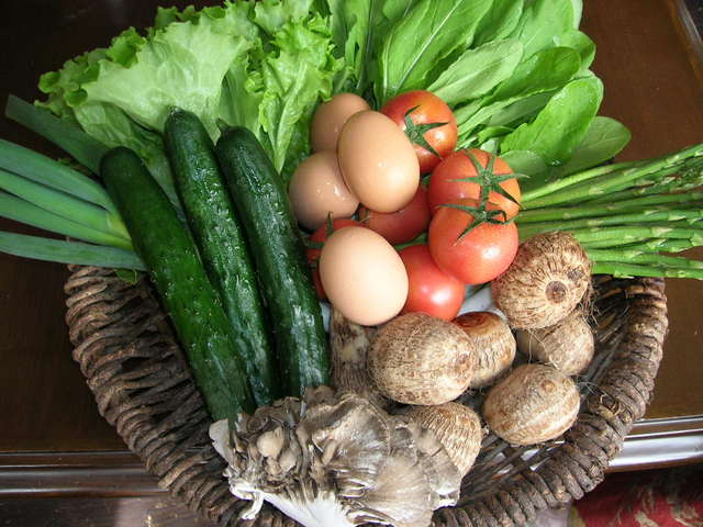 Mori no Uta Inn Image 3, Nikko, Japan