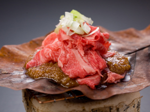 Hidatakayama Ryokan Seibei Image 4, Takayama, Japan