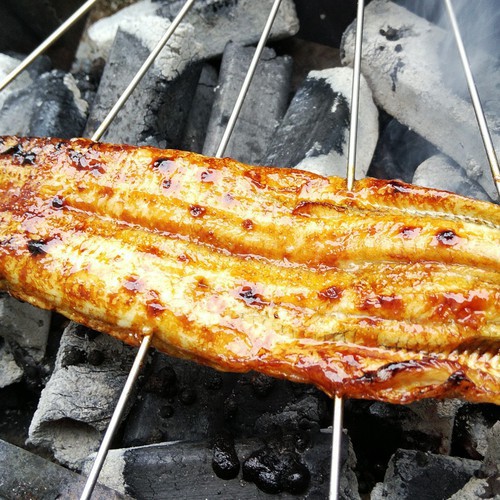 秘伝のたれで焼き上げた蒲焼きは絶品です♪