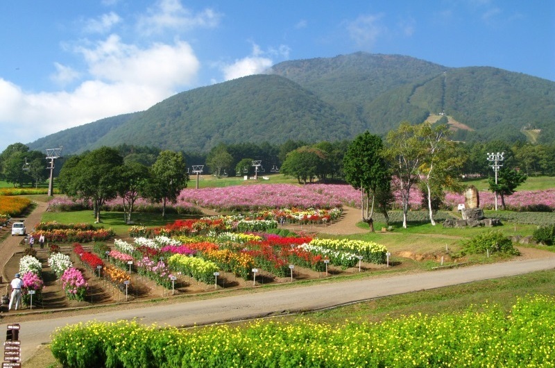 旬花咲く黒姫高原